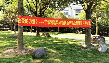 改變的力量|寧波科瑞特開展戶外拓展活動